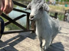-泗洪洪泽湖湿地景区