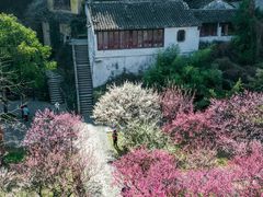 -苏州上方山国家森林公园
