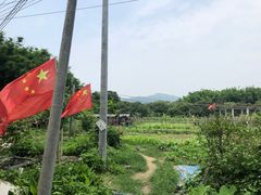 -丰依竹食·老牌竹筒饭
