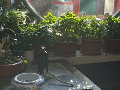 -戴月轩(琉璃厂东街店)