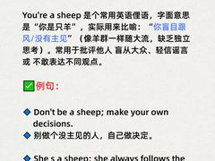 -语朵教育·日韩德法留学(曹杨校区)
