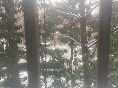 -郑和公园