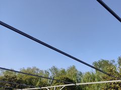 -名骏车业(园区星明店)