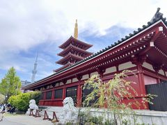 -浅草寺