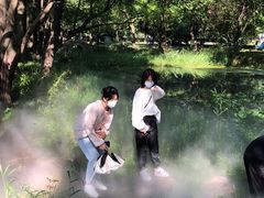 -东湖落雁景区