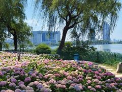 -金银湖国家城市湿地公园