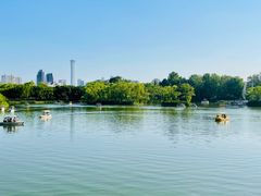 -朝阳公园游乐园