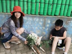 -西霞口神雕山野生动物世界