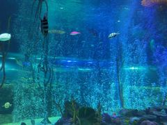 -沈阳海洋探索中心