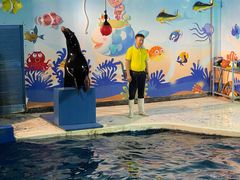 -太平洋海底世界