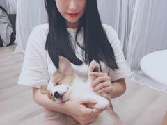 糯米-浣熊柯尔鸭土拨鼠·电玩咖