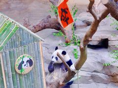 -宁波野生动物园