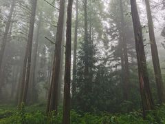 -罗田薄刀峰风景区