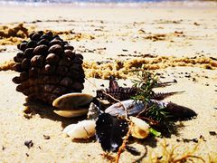 -85度C(南京龙江店)