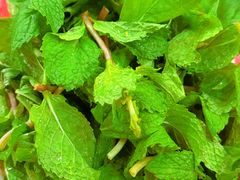 -傣家黑山羊汤锅(告庄店)