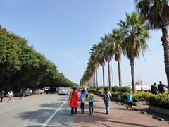 -南沙十九涌渔人码头-南门