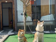 -爱侣宠医·鹦鹉专科·小型哺乳类·异宠专科(灵石路店)