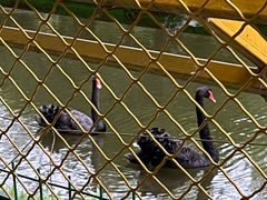 -长白岛森林公园