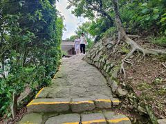 -蛇蟠岛