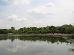 -新江湾城公园