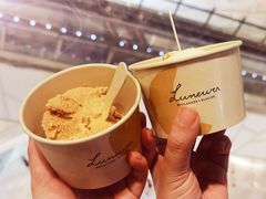 -LUNEURS月乐诗·法式冰淇淋(环贸店)
