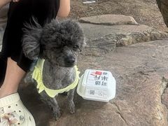 -丁香湖公园