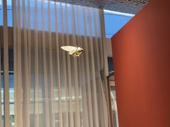 -IL Forno 意坊·意大利餐厅(温州万象城店)