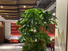 -大鸭梨烤鸭(顺义石园店)