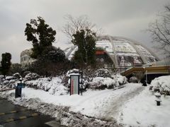 -世纪缘湖滨花园酒店(玄武湖店)