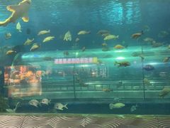 -秦皇岛新澳海底世界