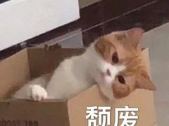 -鸭绿江民族饭店(总店)