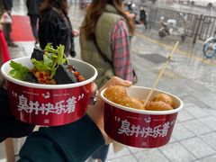 -黑色经典臭豆腐·湖南特产(坡子街店)