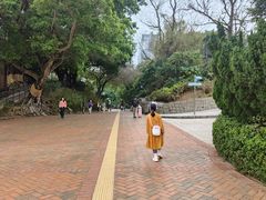 -九龙公园