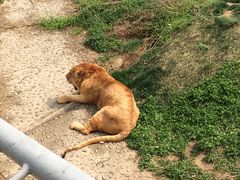 -西安秦岭野生动物园