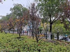 -上海东方肝胆外科医院(嘉定院区)