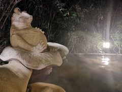 -天目湖涵田半山温泉