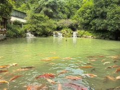 -兰溪地下长河