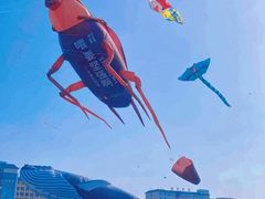 -潍坊滨海云门国际风筝放飞场