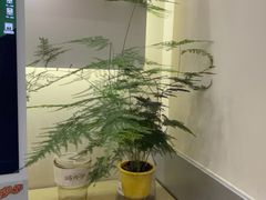 -海马体照相馆(上海宝山万达广场店)