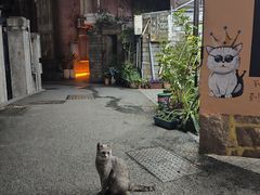 -猫岛主趣味餐厅(鼓浪屿店)