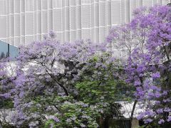 -成都市活水公园