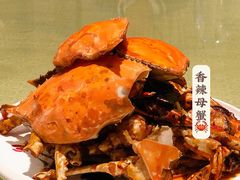 -海岛渔村大酒店(云霄路店)