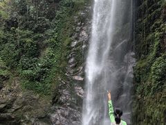 -莫里热带雨林景区