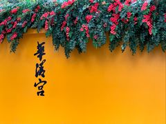 -华清宫景区