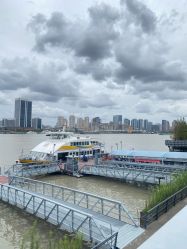 -复旦大学附属妇产科医院(杨浦院区)