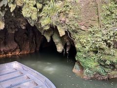 -怀托摩萤火虫洞