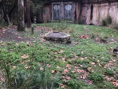 -奥兰多迪士尼动物王国乐园