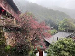 -韬光茶庵