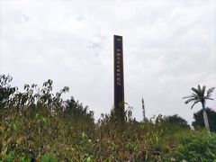 -茯茶镇