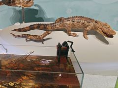 -中国湿地博物馆